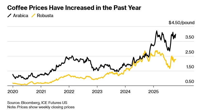 photo_2025-10-31_01-37-13