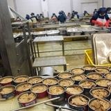 افزایش وحشتناک قیمت تن ماهی