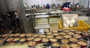 افزایش وحشتناک قیمت تن ماهی