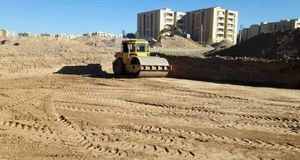 واگذاری بیش از ۴۷ هزار قطعه زمین در قالب طرح جوانی جمعیت