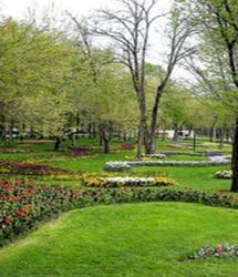 محدودیتی برای تامین آب شرب و بهداشتی بوستان‌های تهران وجود ندارد