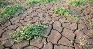 عربستان برای مبارزه با خشکسالی، ۱۵۰ میلیون دلار بودجه گذاشت