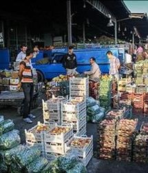 احداث هفت میدان میوه و تره بار و مرکز مالی غرب کشور در شهر کرمانشاه