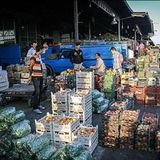 احداث هفت میدان میوه و تره بار و مرکز مالی غرب کشور در شهر کرمانشاه