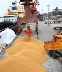 اجرای موفقیت‌آمیز طرح یکپارچه‌سازی واردات و توزیع نهاده‌های دامی با ارز دولتی