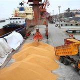 اجرای موفقیت‌آمیز طرح یکپارچه‌سازی واردات و توزیع نهاده‌های دامی با ارز دولتی