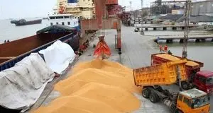 اجرای موفقیت‌آمیز طرح یکپارچه‌سازی واردات و توزیع نهاده‌های دامی با ارز دولتی