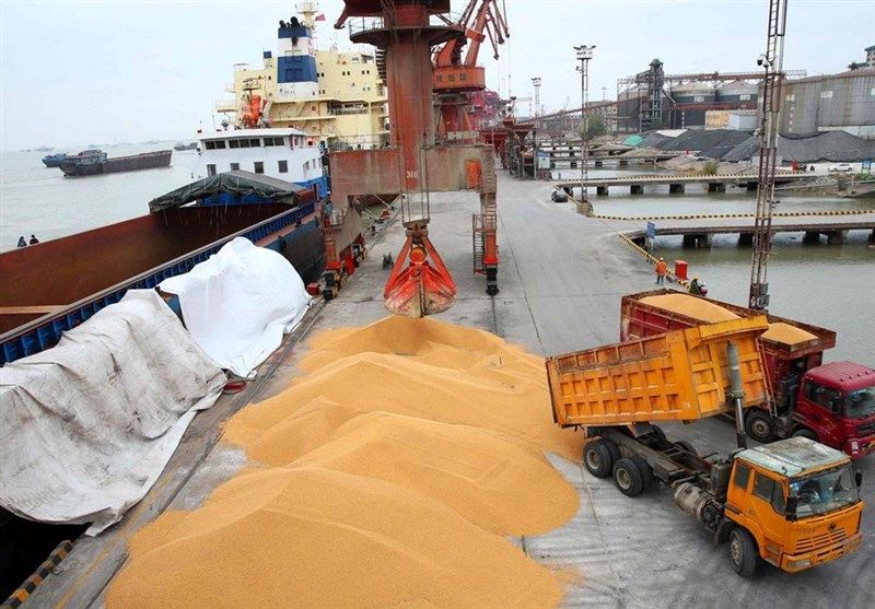 اجرای موفقیت‌آمیز طرح یکپارچه‌سازی واردات و توزیع نهاده‌های دامی با ارز دولتی