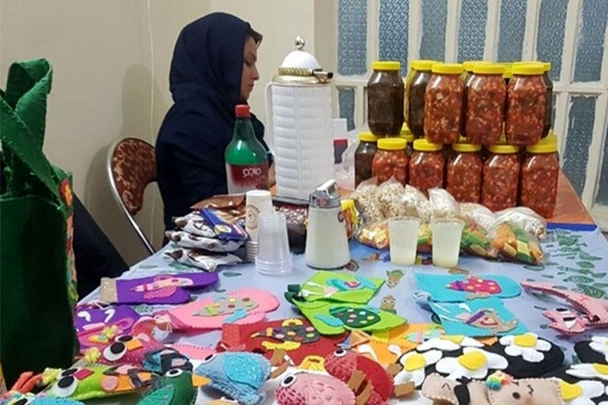 معرفی هشت هزار و ۴۰۰ طرح مشاغل خانگی در استان مازندران به بانکهای عامل جهت دریافت تسهیلات مالی