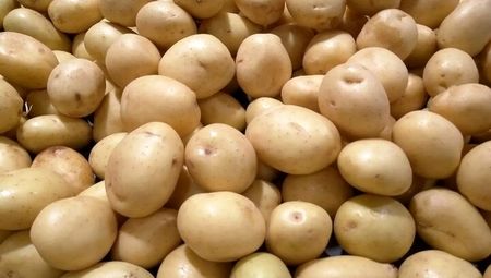 ذخیره‌سازی برنج، سیب‌زمینی، پیاز و میوه شب عید با هدف تنظیم بازار در اولویت قرارگرفت