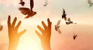 آزادی ۲۰۰ زندانی جرایم غیرعمد در پی قهرمانی تراکتور