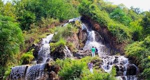 پایان جشنواره ملی چای در لاهیجان