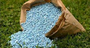 اختصاص ۲۸ هزار تن کود یارانه‌ای به کشاورزان استان کهگیلویه و بویراحمد