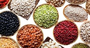 قیمت عدس، نخود و لوبیا کاهش می‌یابد