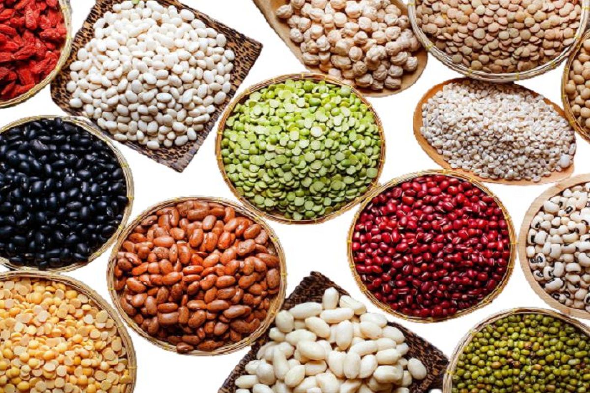 قیمت عدس، نخود و لوبیا کاهش می‌یابد
