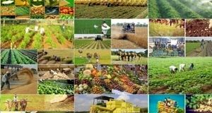 سرمایه گذاری در بخش کشاورزی، معاف از مالیات است