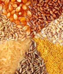 اعلام سقف جدید نرخ ارز نهاده‌های دام و طیور