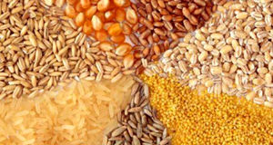 اعلام سقف جدید نرخ ارز نهاده‌های دام و طیور