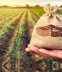 رشد ۱۷۲ درصدی پوشش بیمه‌ای محصولات کشاورزی در استان خراسان شمالی