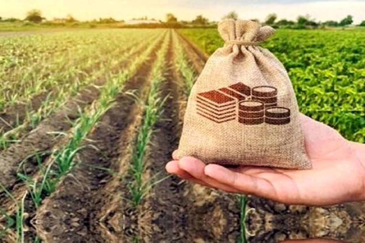 رشد ۱۷۲ درصدی پوشش بیمهای محصولات کشاورزی در استان خراسان شمالی