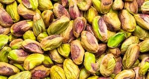 پیش‌بینی برداشت ۸۵۰۰ تن پسته سبز در زرند