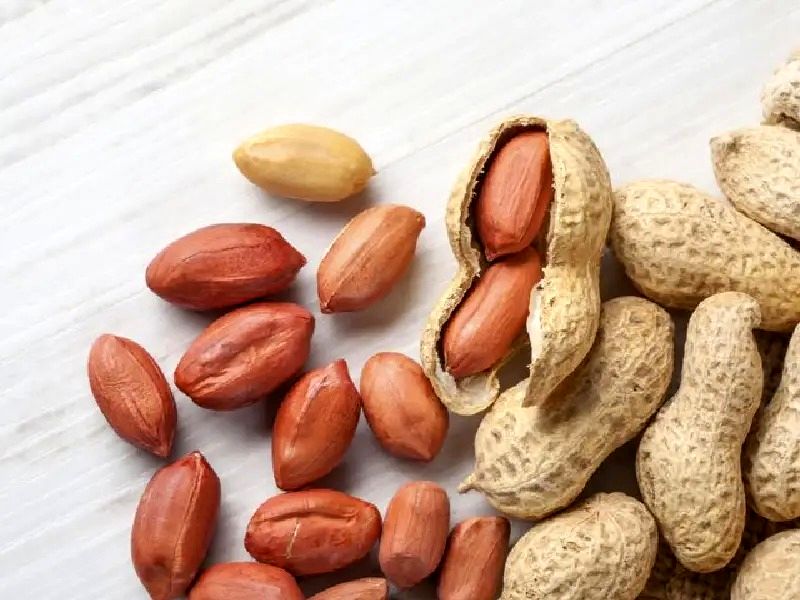 آغاز کشت بادام زمینی در اراضی زراعی استان گیلان