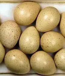 اعلام قیمت جدید انواع بسته بندی تخم کبک