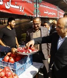 تولید سالانه ۱۰ هزار تن انار در فیروزکوه