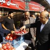تولید سالانه ۱۰ هزار تن انار در فیروزکوه