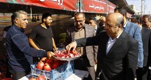 تولید سالانه ۱۰ هزار تن انار در فیروزکوه