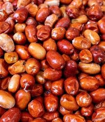 پیشبینی برداشت ۴۰ تن سنجد از سطح باغات استان آذربایجانغربی