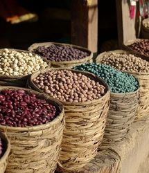 لوبیاچیتی رکورددار گرانی در یک سال / بازار مرغ و گوشت به آرامش رسید