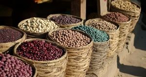 لوبیاچیتی رکورددار گرانی در یک سال / بازار مرغ و گوشت به آرامش رسید