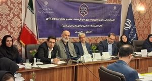 خسارت ۲۰۰ همتی ناترازی انرژی و قطع برق و گاز به صنعت کشور