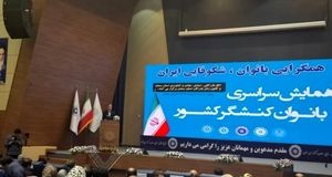رشد ارزش کالاهای صادراتی ایران به ۵۸ میلیارد دلار