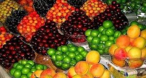 منتظر کاهش ۳۰ درصدی قیمت میوه‌های نوبرانه باشید