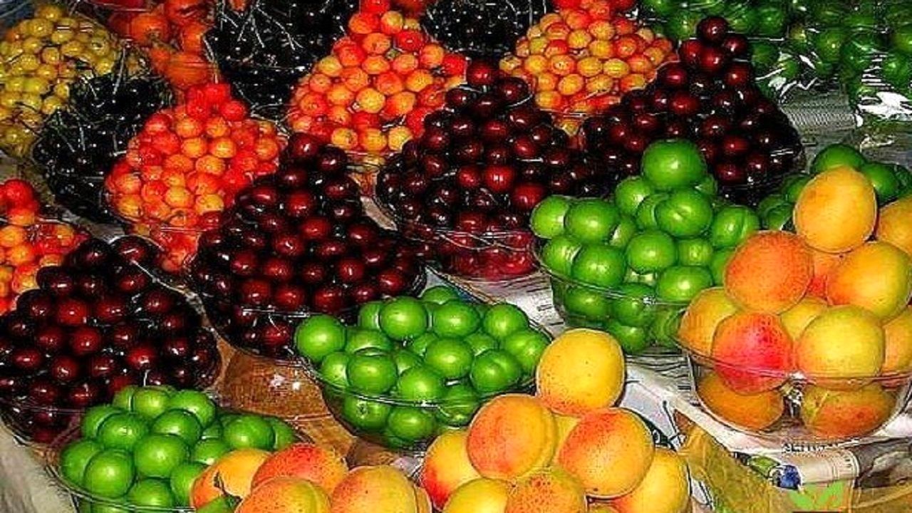 منتظر کاهش ۳۰ درصدی قیمت میوه‌های نوبرانه باشید