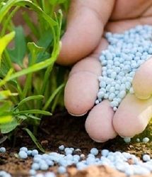 توزیع ۷۳۸ تن کود کشاورزی در مازندران