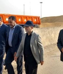 پیش‌بینی تولید ۹۰ هزار کلزا در استان خوزستان