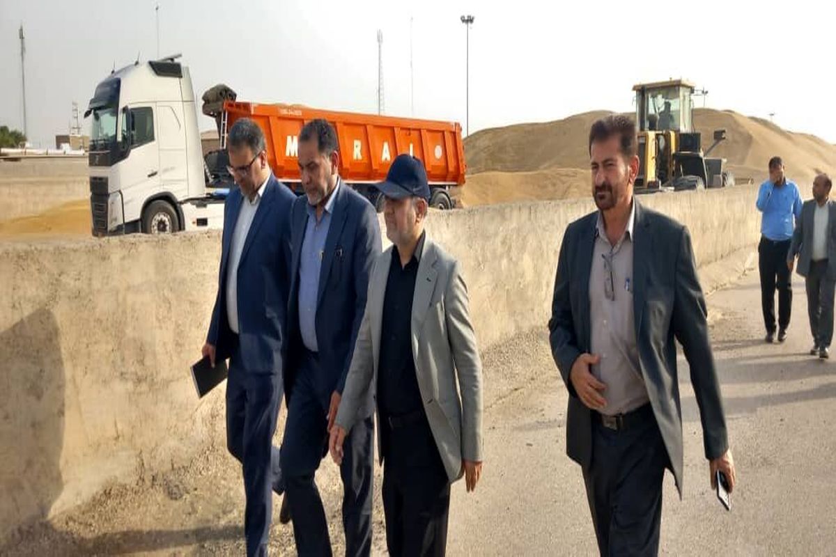 پیشبینی تولید ۹۰ هزار کلزا در استان خوزستان