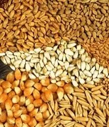 همکاری ۵۶ شرکت واردکننده نهاده با شرکت پشتیبانی امور دام 