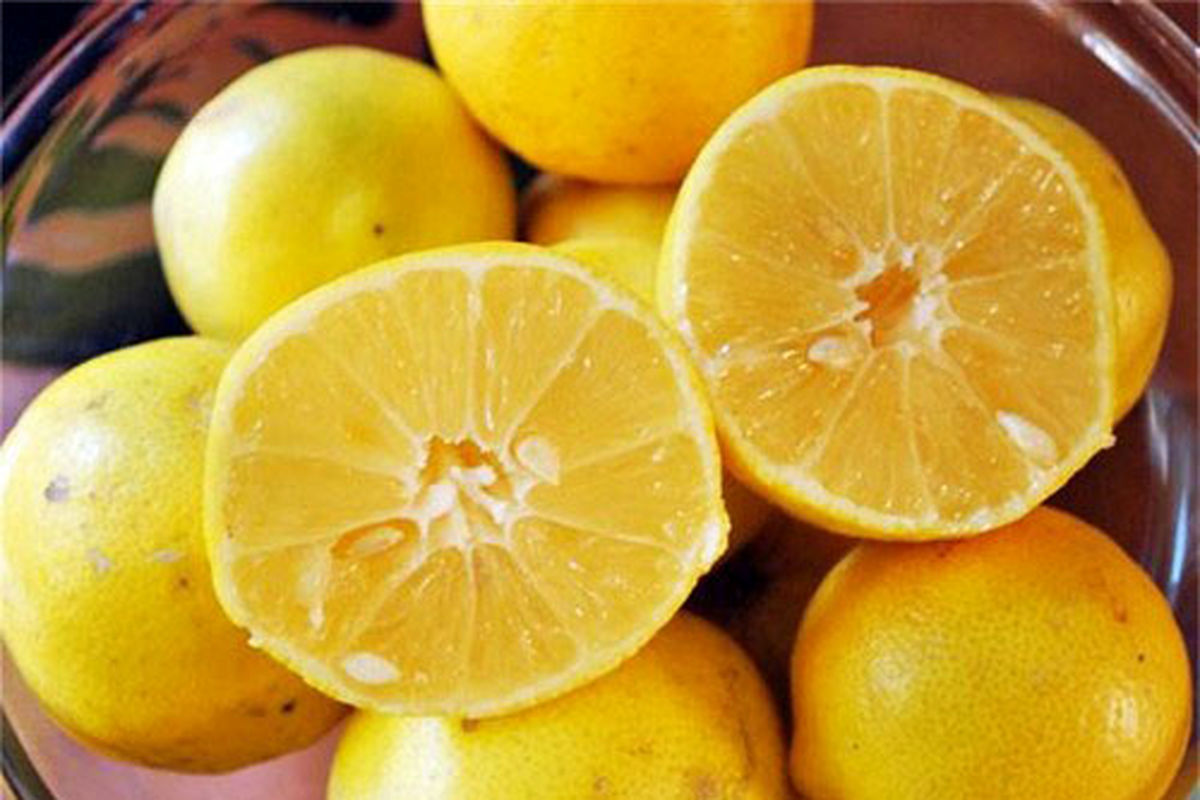 کاهش ۱۰ درصدی برداشت لیموشیرین در توکهور و هشتبندی استان هرمزگان