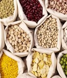 آغاز ثبت سفارش حبوبات برای فصل بهار
