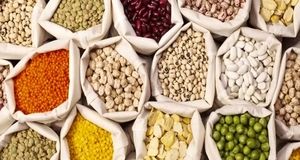 آغاز ثبت سفارش حبوبات برای فصل بهار