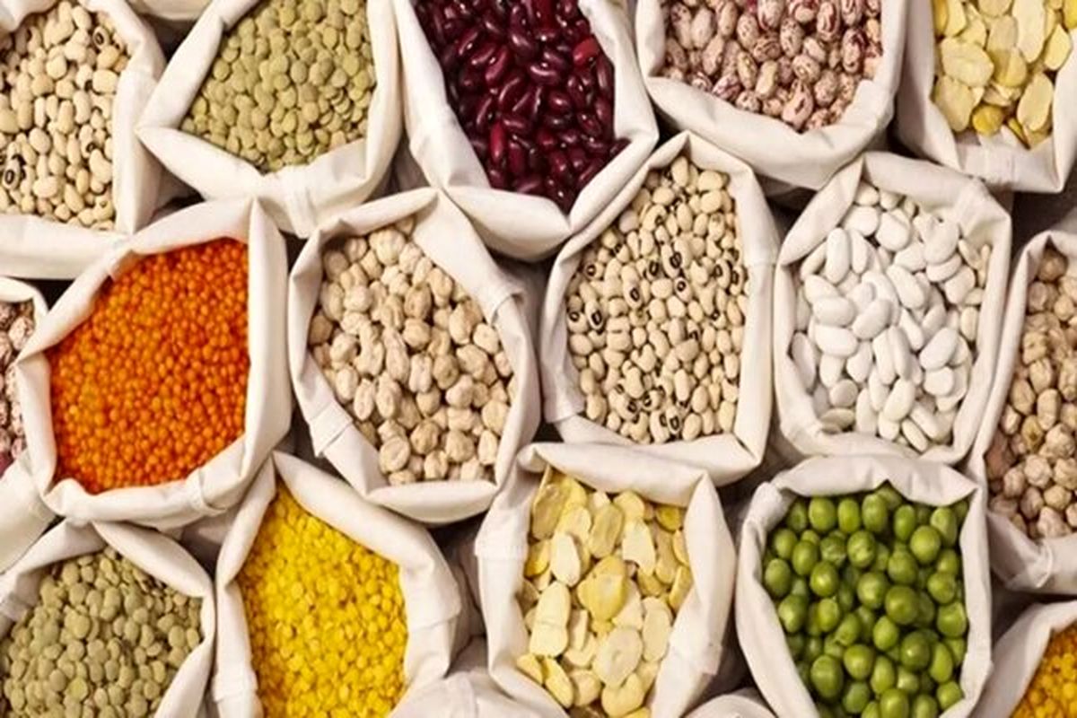 آغاز ثبت سفارش حبوبات برای فصل بهار
