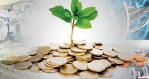 اعطای ۱۹ هزار میلیارد تومان خدمات مالی به شرکت‌های دانش بنیان از سوی صندوق نوآوری و شکوفایی