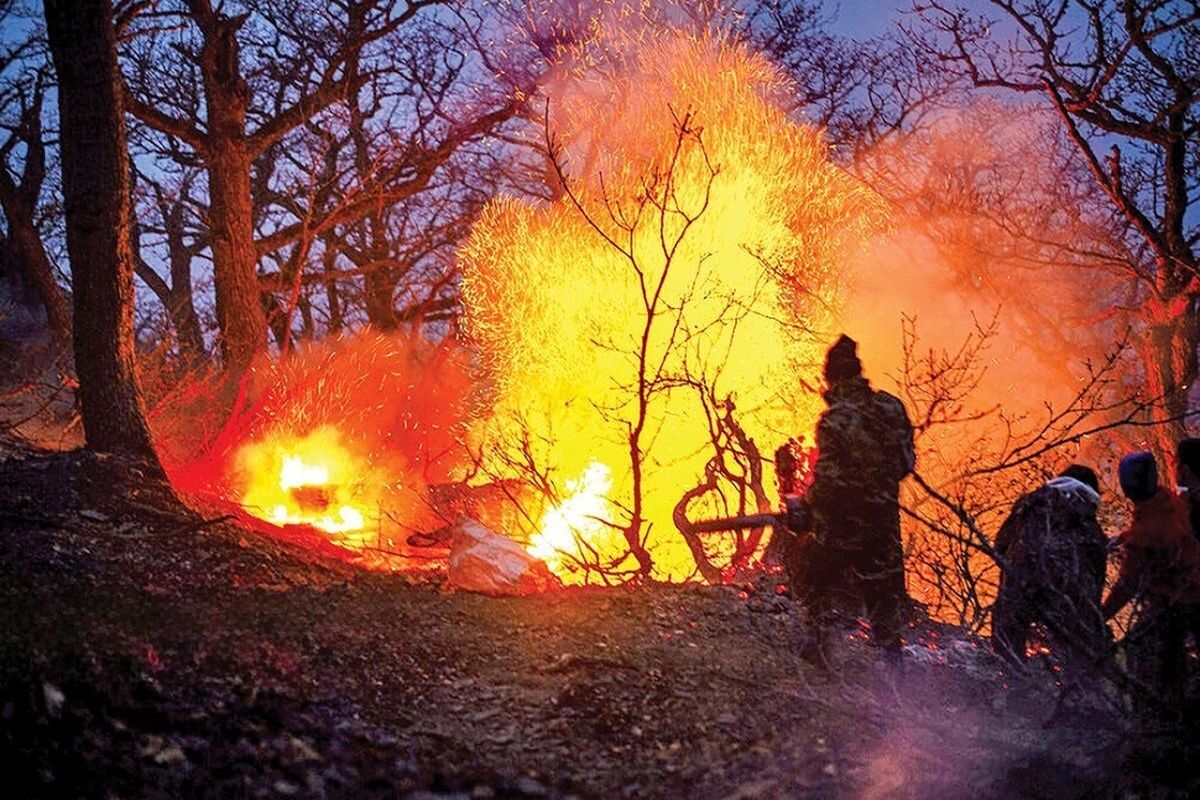 بلای نگران کننده آتش سوزی جنگل‌ها به خاک‌های آلی