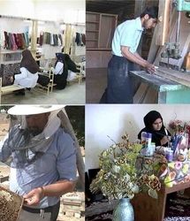 تحقق ۱۰۰ درصدی تعهد اشتغال در استان آذربایجان‌غربی
