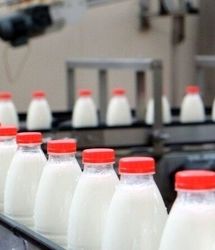 افزایش قیمت لبنیات قبل اعلام قیمت مصوب شیرخام از سوی وزارت جهادکشاورزی 