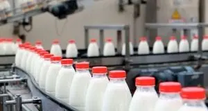 تولید سالانه ۴۱۷ هزار تن شیر در استان آذربایجان‌غربی